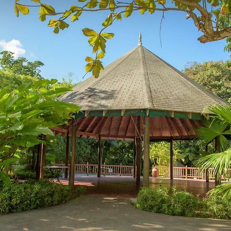 Tropical Escape Villa Ocho Rios Eksteriør bilde