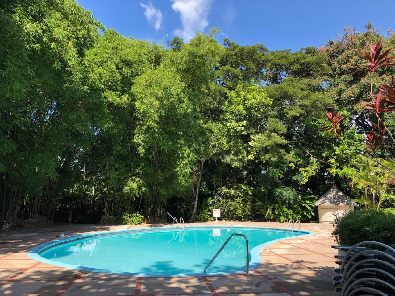 Tropical Escape Villa Ocho Rios Eksteriør bilde